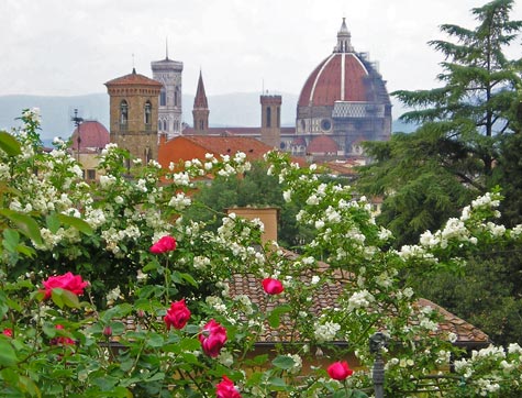 Rose Garden in Florence Italy